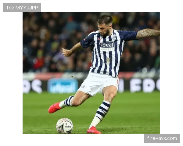 西布朗袋鼠状态回暖,惊人跳跃能力引游客争相围观 西布朗袋鼠状态回暖,惊人跳跃能力引游客争相围观